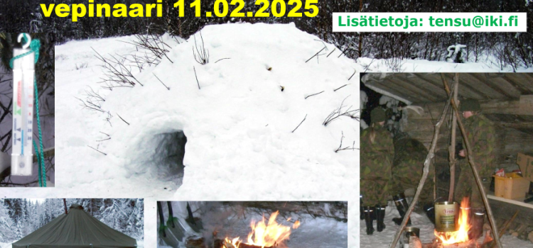 TALVITAITOJEN TEEMAILTA ELI VEPINAARI 11.02.2025