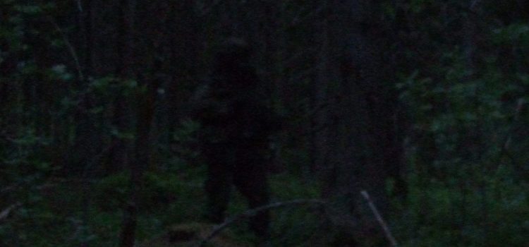Maasto-, VaPePa- ja viestisastojen tapahtumia päivitetty! Maasto-, VaPePa- ja viestisastojen tapahtumia päivitetty!